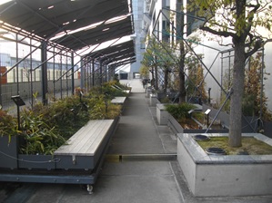屋上緑化管理（京都駅ビル緑水歩廊）