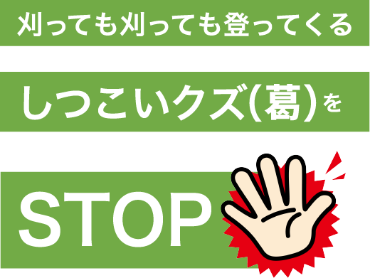 刈っても刈っても登ってくるしつこいクズ（葛）をSTOP